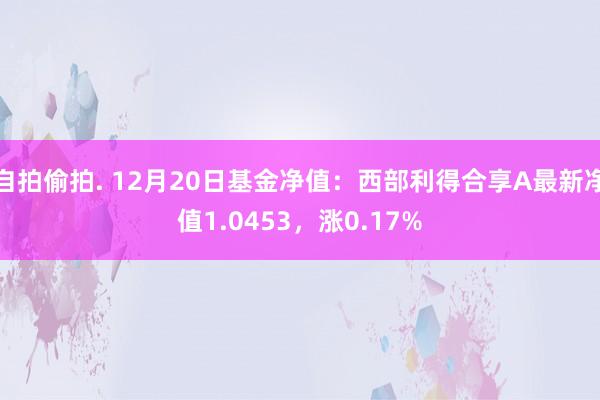 自拍偷拍. 12月20日基金净值：西部利得合享A最新净值1.0453，涨0.17%