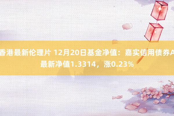 香港最新伦理片 12月20日基金净值：嘉实信用债券A最新净值1.3314，涨0.23%