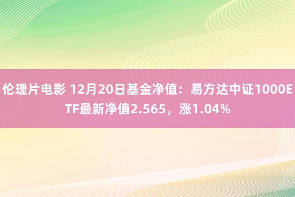 伦理片电影 12月20日基金净值：易方达中证1000ETF最新净值2.565，涨1.04%