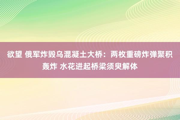 欲望 俄军炸毁乌混凝土大桥：两枚重磅炸弹聚积轰炸 水花迸起桥梁须臾解体