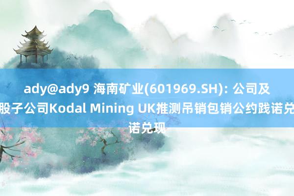 ady@ady9 海南矿业(601969.SH): 公司及控股子公司Kodal Mining UK推测吊销包销公约践诺兑现