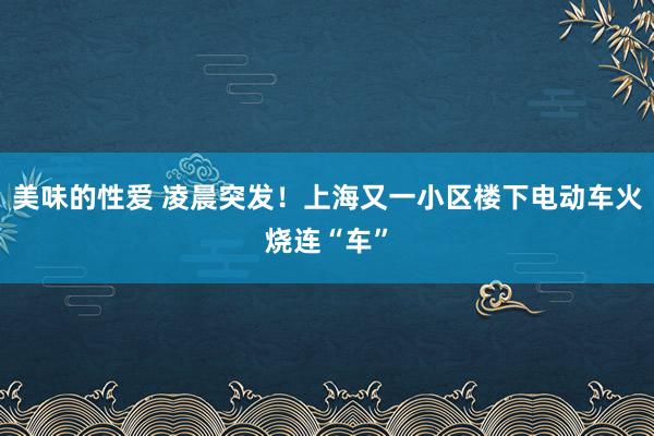 美味的性爱 凌晨突发！上海又一小区楼下电动车火烧连“车”