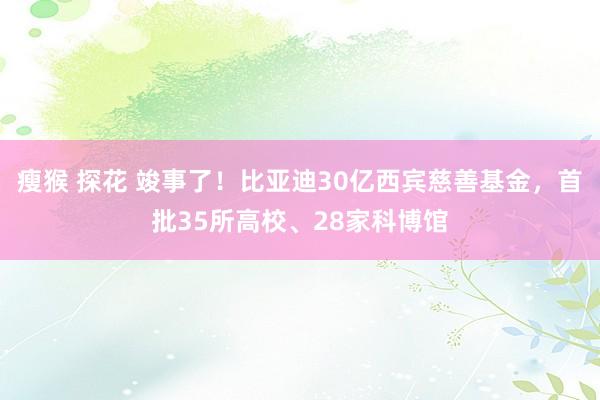 瘦猴 探花 竣事了！比亚迪30亿西宾慈善基金，首批35所高校、28家科博馆