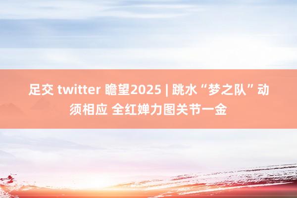 足交 twitter 瞻望2025 | 跳水“梦之队”动须相应 全红婵力图关节一金