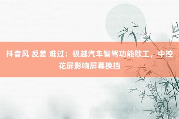 抖音风 反差 难过：极越汽车智驾功能歇工，中控花屏影响屏幕换挡