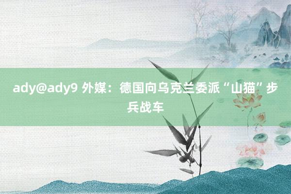 ady@ady9 外媒：德国向乌克兰委派“山猫”步兵战车