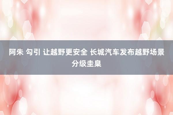 阿朱 勾引 让越野更安全 长城汽车发布越野场景分级圭臬