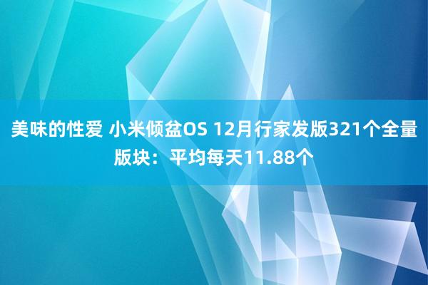 美味的性爱 小米倾盆OS 12月行家发版321个全量版块：平均每天11.88个