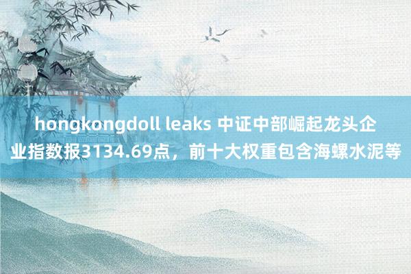 hongkongdoll leaks 中证中部崛起龙头企业指数报3134.69点，前十大权重包含海螺水泥等