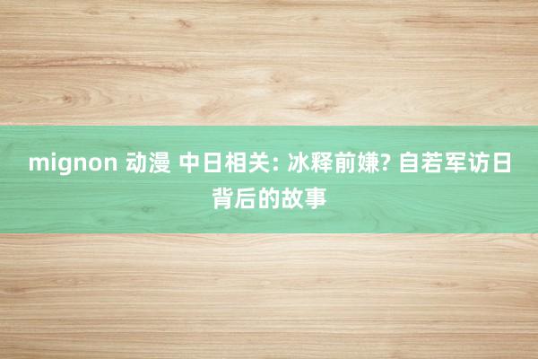 mignon 动漫 中日相关: 冰释前嫌? 自若军访日背后的故事